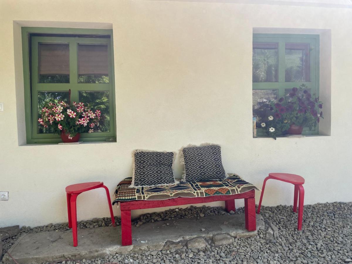 Dom Pod Matyska Villa Radziechowy Eksteriør billede